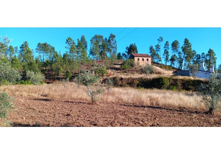 Terra a Macao, Santarem, Macao - € 350/mes | Ref: SÒL_357 - foto 1