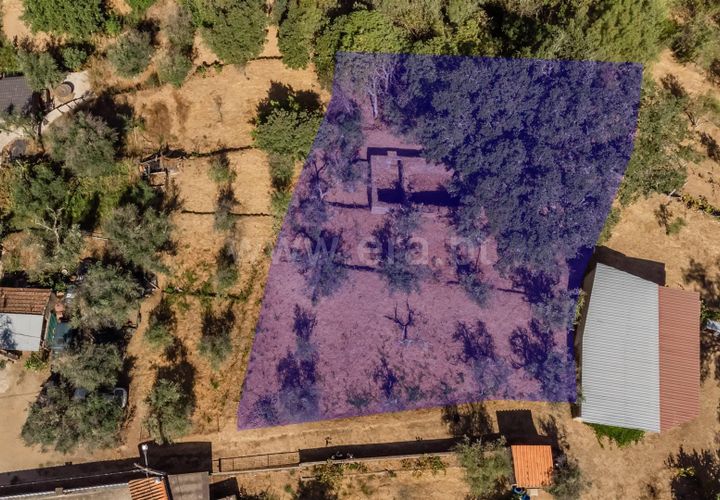 Terra a Covilha, Castelo Branco, Covilha - € 27.500 | Ref: 111250186 - foto 1