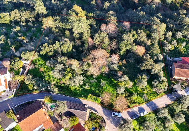 Helårsgrund i Coimbra, Coimbra, Coimbra - € 169.000 | Ref: ZMPT573753 - foto 1
