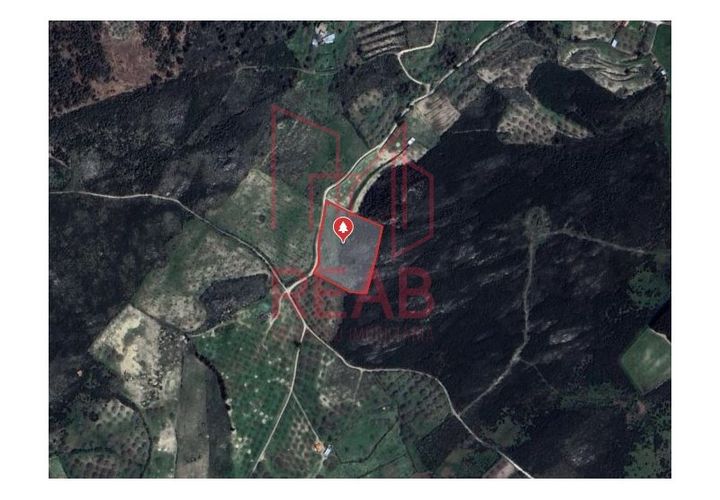 Terra a Guilheiro, Guarda, Guilheiro - € 15.000 | Ref: 243C/ 2025 - foto 1
