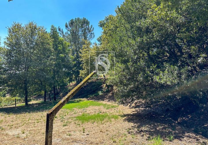 Helårsgrund i Amarante, Porto, Amarante - € 79.950 | Ref: DSAMTFC2/12937 - foto 1