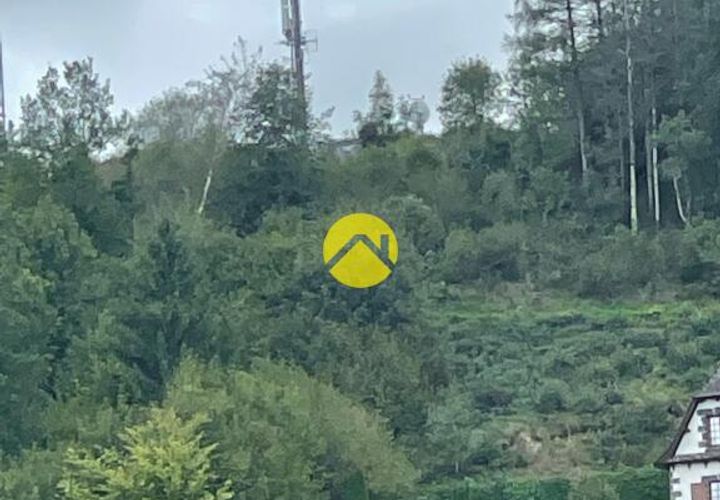 Terra a Pierrefort, Cantal, Pierrefort - € 11.500 | Ref: 100CAL110475 - foto 1