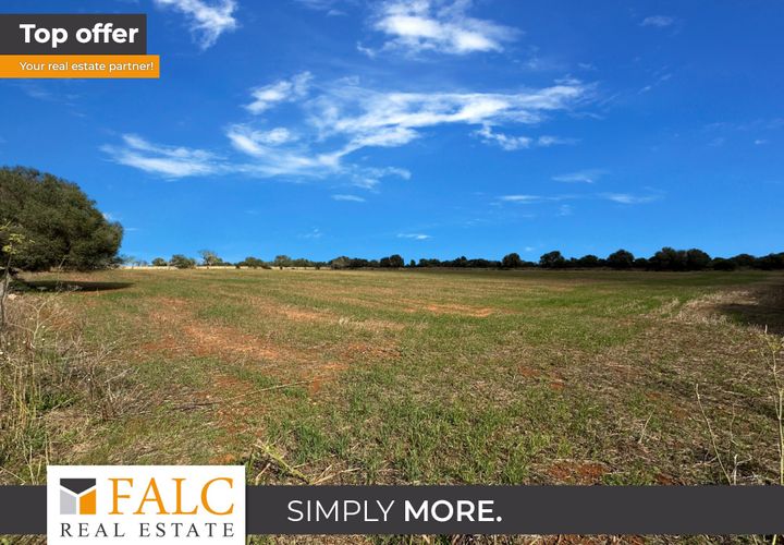 Terra a Santanyi, Mallorca, Santanyi - € 320.000 | Ref: FALC-StBa-75465 - foto 1