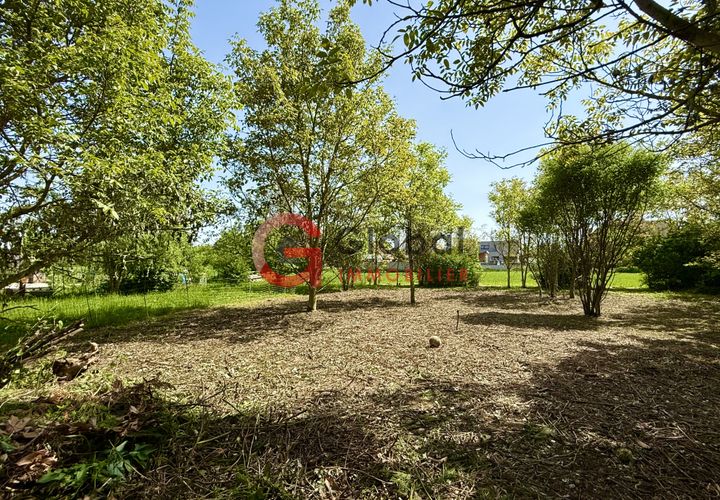 Terra a Sélestat, Bas-Rhin, Sélestat - € 424.000 | Ref: 7313 - foto 1