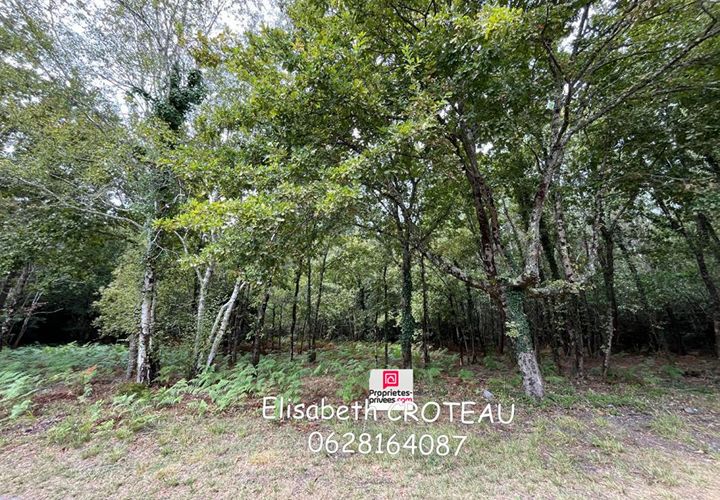 Tomt i Sanguinet, Landes, Sanguinet - € 65 990 | Ref: 422277ECR - foto 1
