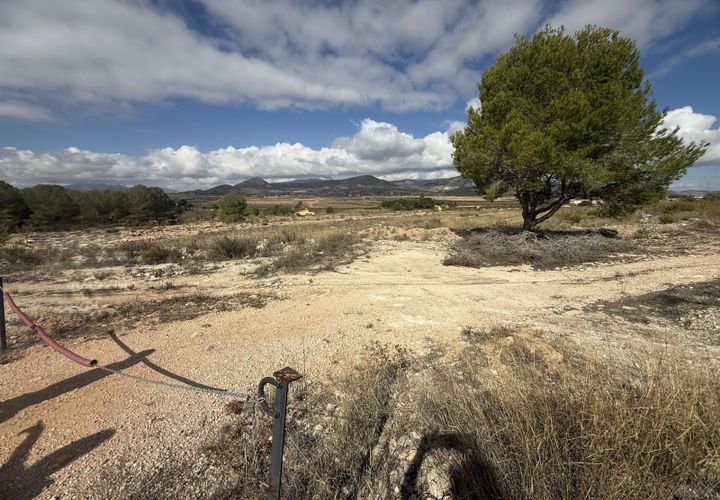 Terra a Monovar, Alicante, Monovar - € 12.000 | Ref: CC0644 - foto 1