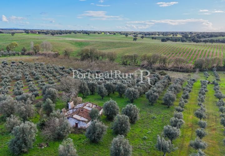 Farm hus i Avis, Portalegre, Avis - € 224.000 | Ref: FG480 - foto 1
