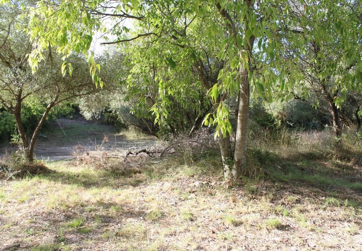 Helårsgrund i Uchaud, Gard, Uchaud - € 595.000 | Ref: 0064-PR - foto 1