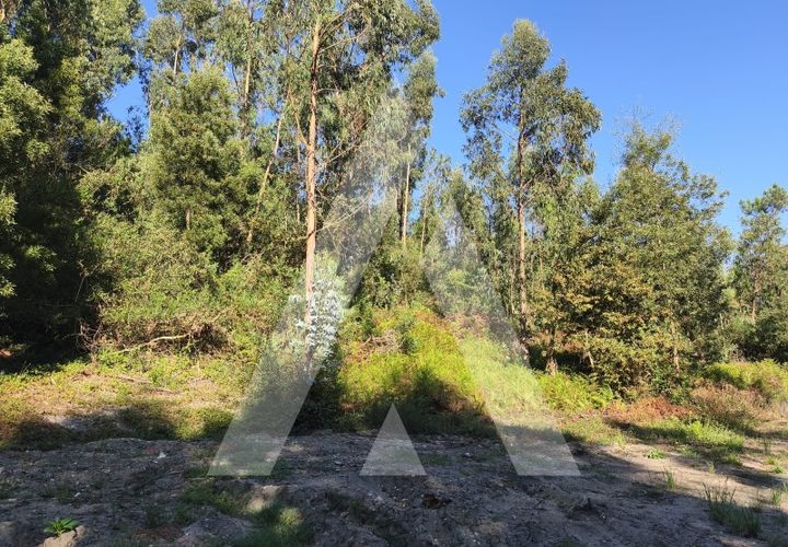 Helårsgrund i Eixo e Eirol, Aveiro, Eixo e Eirol - € 170.000 | Ref: 1040771/25 BR - foto 1