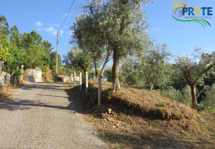 Farm i Castelo Branco, Castelo Branco, Castelo Branco - € 30.000 | Ref: VF324 - foto 1