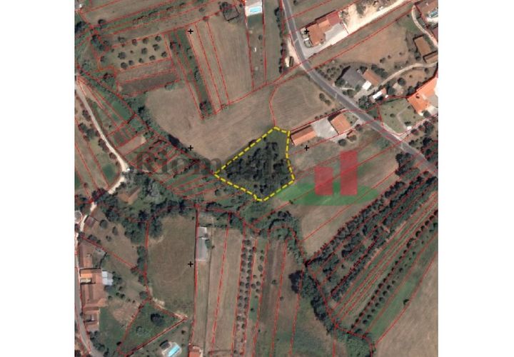 Helårsgrund i Rio Maior, Santarem, Rio Maior - € 9.000 | Ref: 244.25 - foto 1