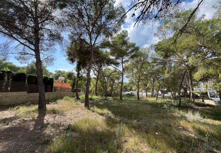 Terra a Santa Ponsa, Mallorca, Santa Ponsa - € 1.000.000 | Ref: 82192 - foto 1