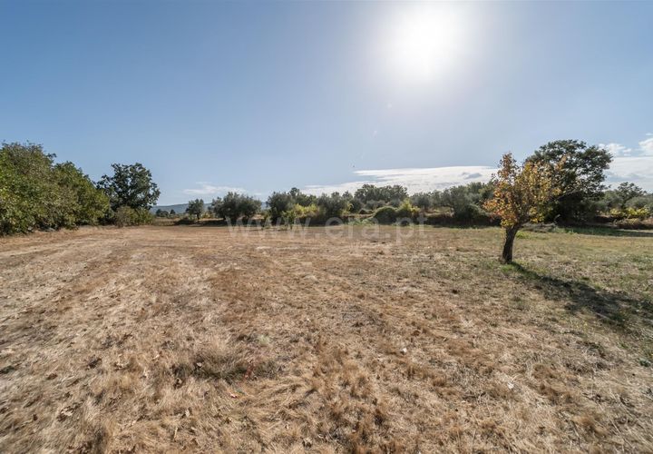 Terra a Fundao, Castelo Branco, Fundao - € 110.000 | Ref: 255250171 - foto 1