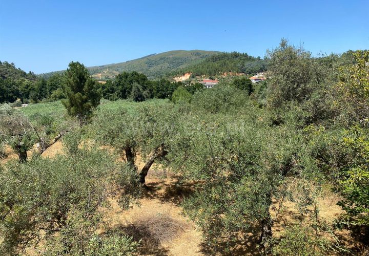 Tomt i Fundao, Castelo Branco, Fundao - € 9 000 | Ref: 255250152 - foto 1