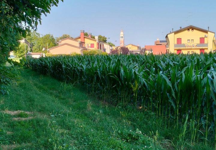 Helårsgrund i Trebaseleghe, Padua, Trebaseleghe - € 3.135.000 | Ref: es5553772aa - foto 1