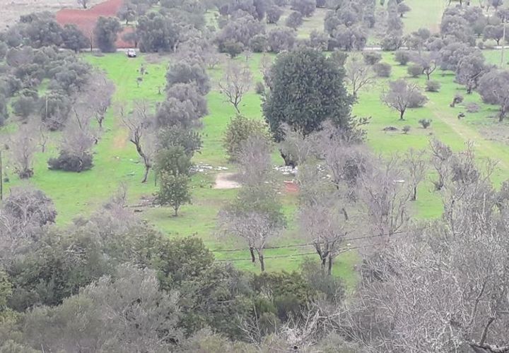 Helårsgrund i Paderne, Faro, Paderne - € 75.000 | Ref: es5553682 - foto 1