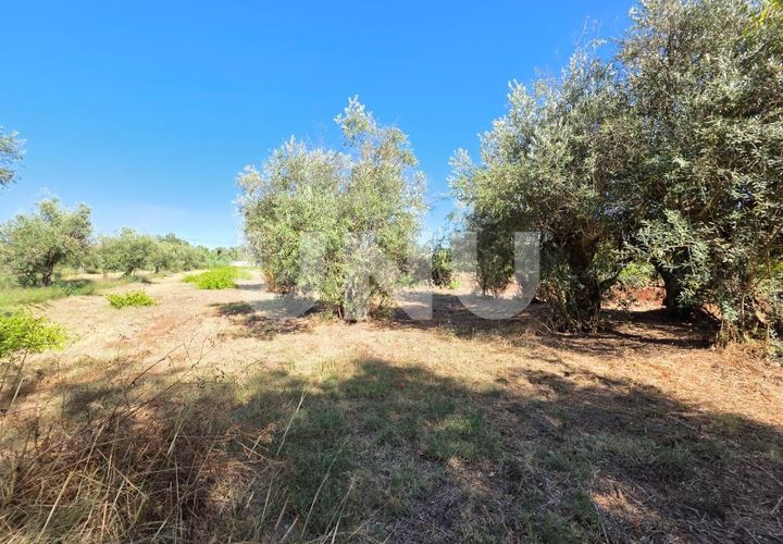 Villa i Abrantes, Santarem, Abrantes - € 232.500 | Ref: UNU.I.1366.18585 - foto 1