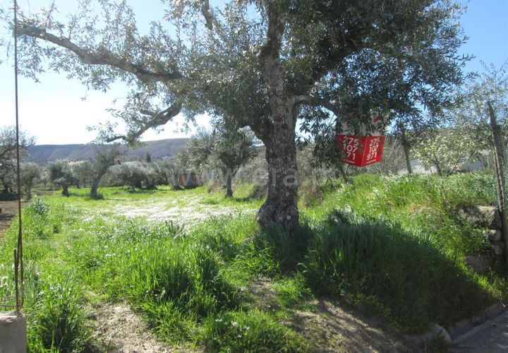 Landejendom i Fundao, Castelo Branco, Fundao - € 28.500 | Ref: 255250091 - foto 1