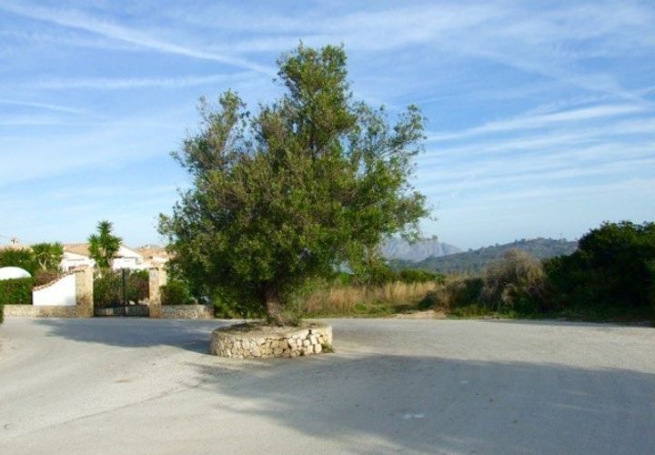 Terra a Benidoleig, Alicante, Benidoleig - € 216.000 | Ref: 01201 - foto 1