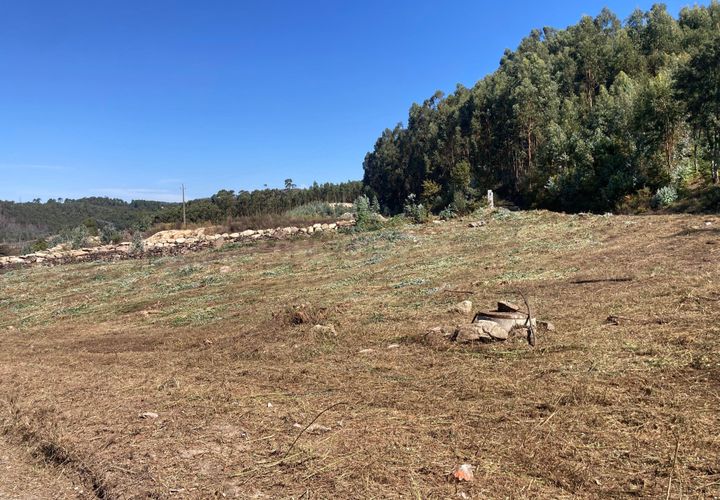Helårsgrund i Penafiel, Porto, Penafiel - € 125.000 | Ref: C0393-01345 - foto 1