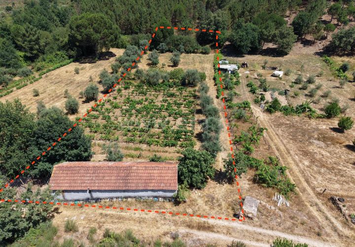 Grond in Nelas, Viseu, Nelas - € 55.000 | Ref: 389250215 - foto 1