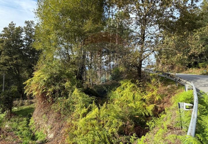 Terra a Azere, Viana do Castelo, Azere - € 6.500 | Ref: 1020-40 - foto 1