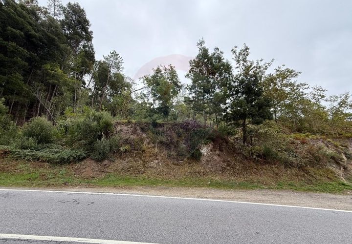 Terra a Azere, Viana do Castelo, Azere - € 7.500 | Ref: 1020-39 - foto 1