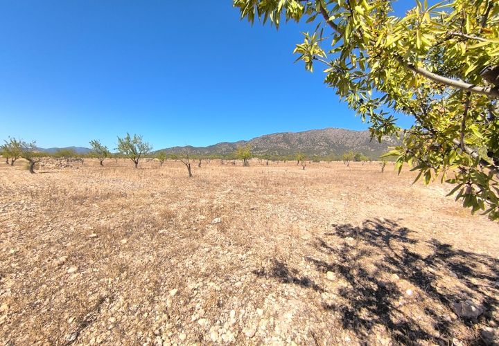 Helårsgrund i Monovar, Alicante, Monovar - € 50.000 | Ref: 70068 - foto 1