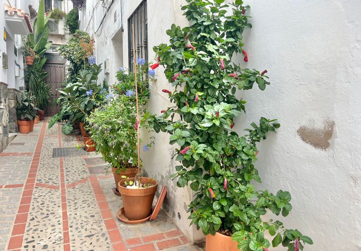 Rækkehus i Casarabonela, Malaga, Casarabonela - € 129.950 | Ref: Casa Mar - foto 1