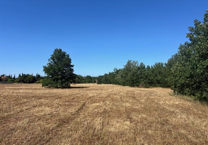 Terra a Thuir, Pyrenees-Orientales, Thuir - € 86.900 | Ref: 105 - foto 1