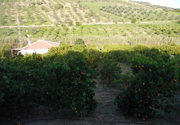 Villa i Tolox, Malaga, Tolox - € 170.000 | Ref: CLDA-98805NEW - foto 1