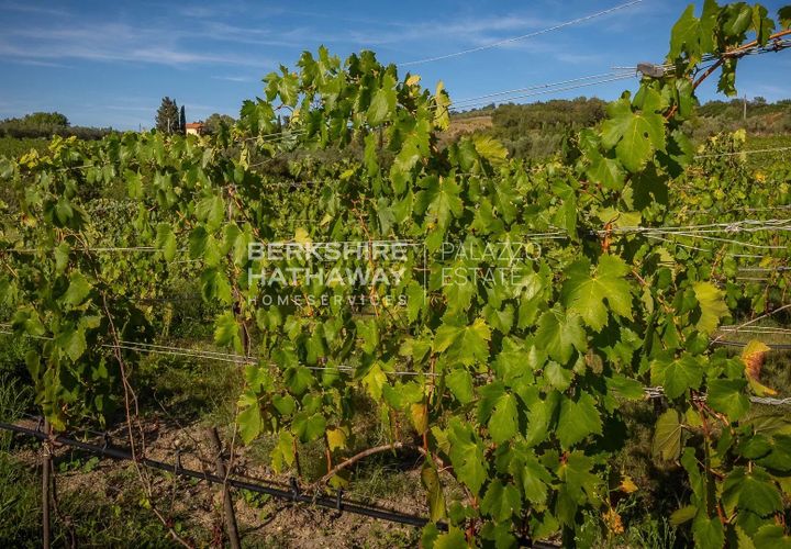 Villa i Manciano, Grosseto, Manciano - € 4.500.000 | Ref: ito3030 - foto 1