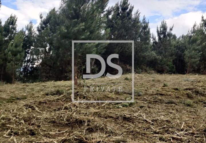 Helårsgrund i Penafiel, Porto, Penafiel - € 99.000 | Ref: DSPMCANAVMA16 - foto 1