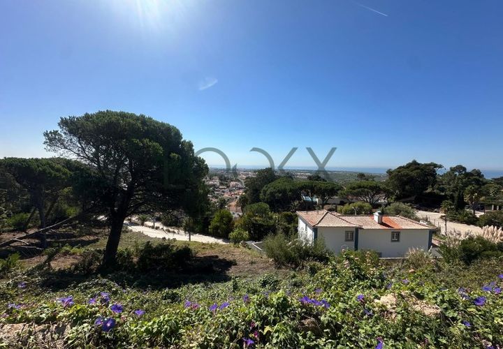 Helårsgrund i Alcabideche, Lisbon, Alcabideche - € 1.290.000 | Ref: PT012-16_B - foto 1