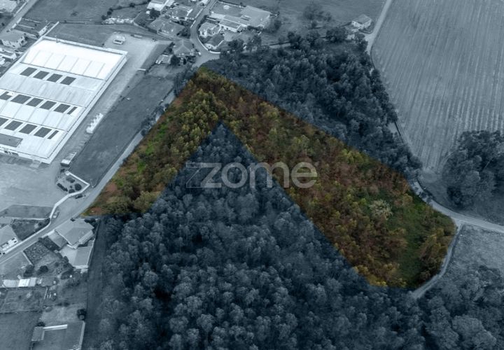 Grond in Santo Tirso, Porto, Santo Tirso - € 400.000 | Ref: ZMPT581487 - foto 1