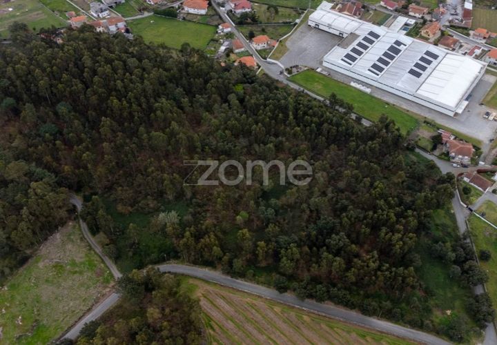 Helårsgrund i Santo Tirso, Porto, Santo Tirso - € 400.000 | Ref: ZMPT581487 - foto 1