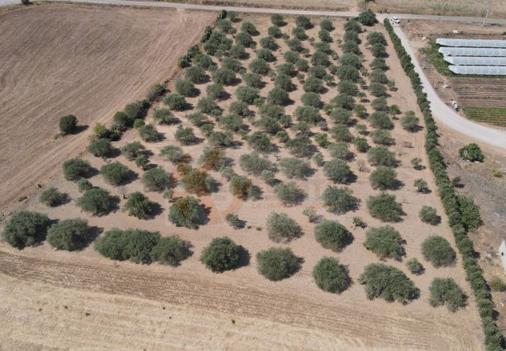 Helårsgrund i Monastir, Sud Sardegna, Monastir - € 70.000 | Ref: 13834 - foto 1