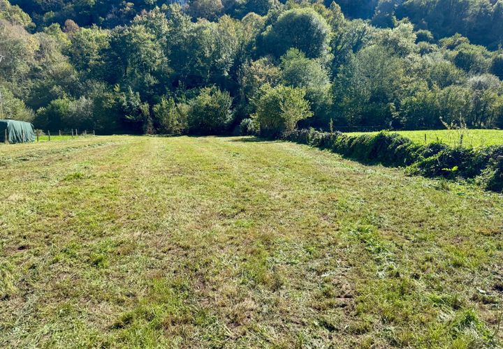 Terra a La Pedrosa, Cantabria, La Pedrosa - € 69.000 | Ref: EXP11540/8930 - foto 1