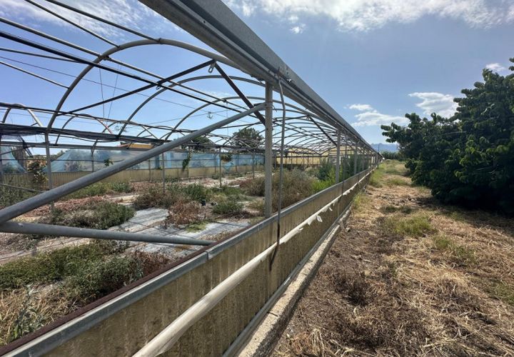 Terra a Milazzo, Messina, Milazzo - € 50.000 | Ref: TA004 - foto 1