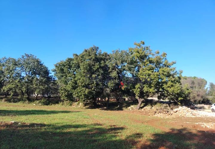 Helårsgrund i Ostuni, Brindisi, Ostuni - € 55.000 | Ref: 172975 - foto 1