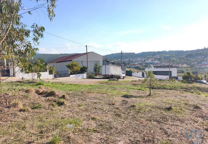 Terra a Anadia, Aveiro, Anadia - € 35.000 | Ref: 151101 - foto 1