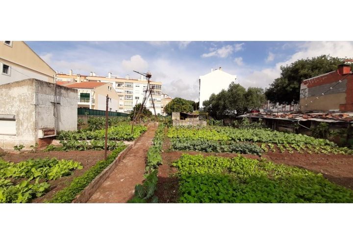 Terra a Massama, Lisbon, Massama - € 490.000 | Ref: PB021755 - foto 1