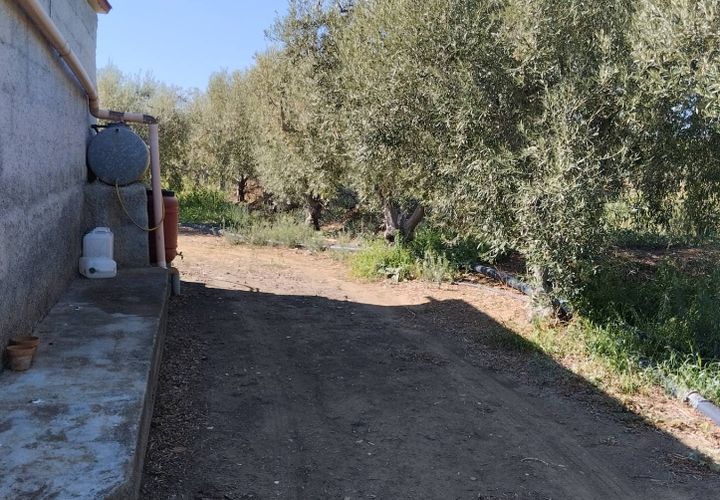 Terra a Ramacca, Catania, Ramacca - € 60.000 | Ref: 630 - foto 1