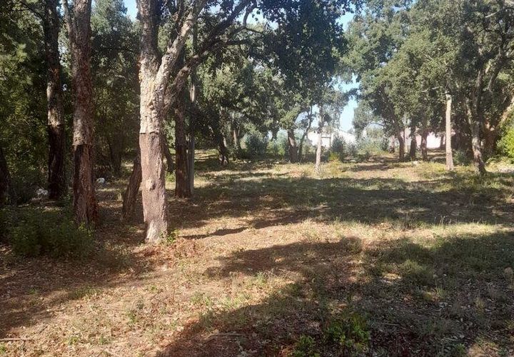 Terra a Alcobaca, Leiria, Alcobaca - € 45.000 | Ref: 709619 - foto 1