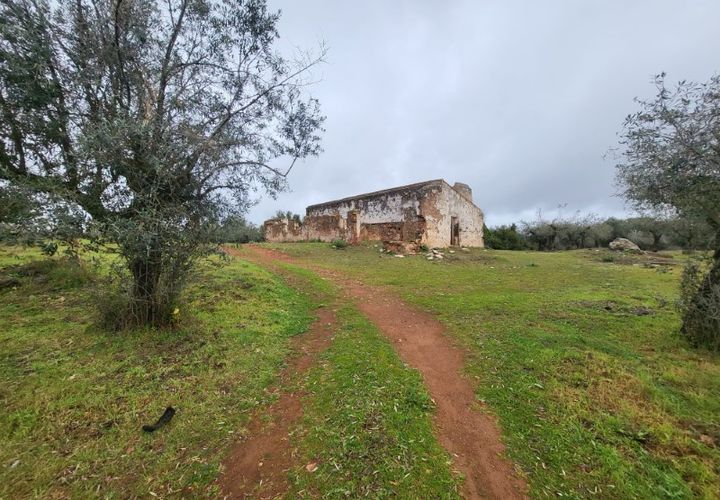 Terra a Borba, Evora, Borba - € 110.000 | Ref: JG1921 - foto 1