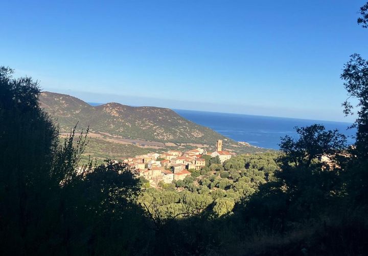 Terra a Aregno, Haute-Corse, Aregno - € 550.000 | Ref: A6014 - foto 1