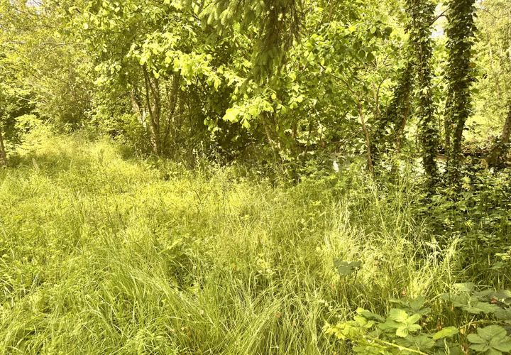 Helårsgrund i Marandeuil, Cote-d'Or, Marandeuil - € 18.000 | Ref: 85951952 - foto 1