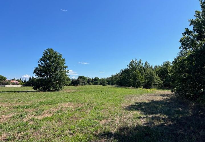 Terra a Thuir, Pyrenees-Orientales, Thuir - € 55.500 | Ref: 66-THUIR-ESPTR2 - foto 1