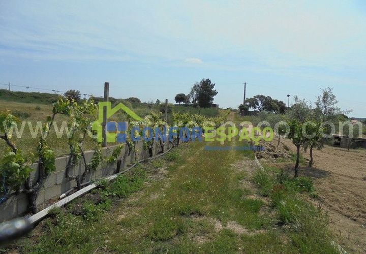 Helårsgrund i Castelo Branco, Castelo Branco, Castelo Branco - € 95.000 | Ref: 19049 - foto 1