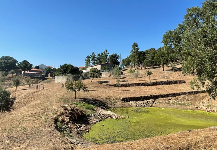 Helårsgrund i Abrantes, Santarem, Abrantes - € 129.000 | Ref: C0364-03572 - foto 1